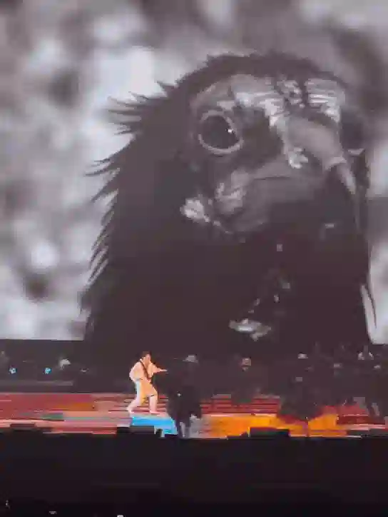 陈奕迅北京演唱会突发意外，此前已多次因故取消演唱会
