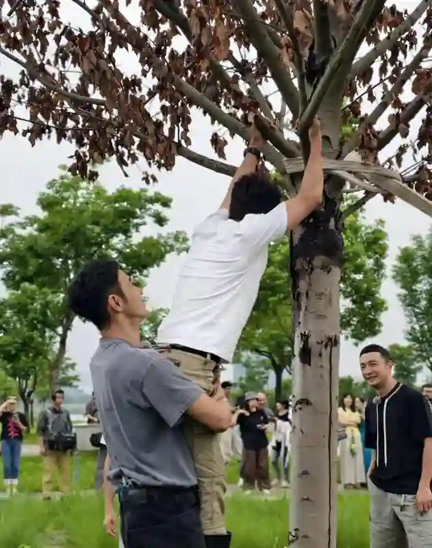 尼格买提发文“树上骑个猴”，撒贝宁这表情绝了，调皮孩子上线！