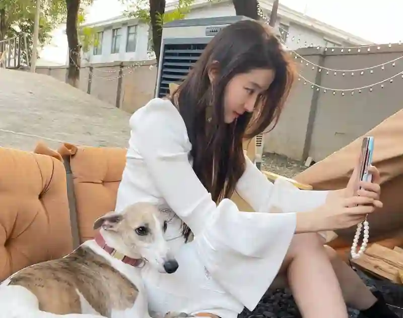 同样被陈金飞力捧，杨采钰与刘亦菲，差距为何如此明显？