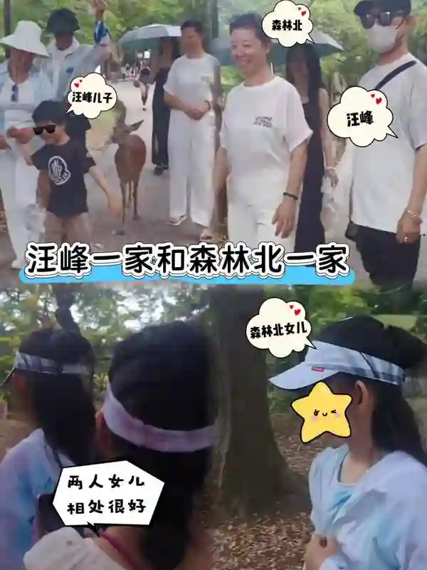 明星带娃过暑假，孙俪一家上山下海，董璇女儿跳舞惊艳，钟丽缇女儿似明星