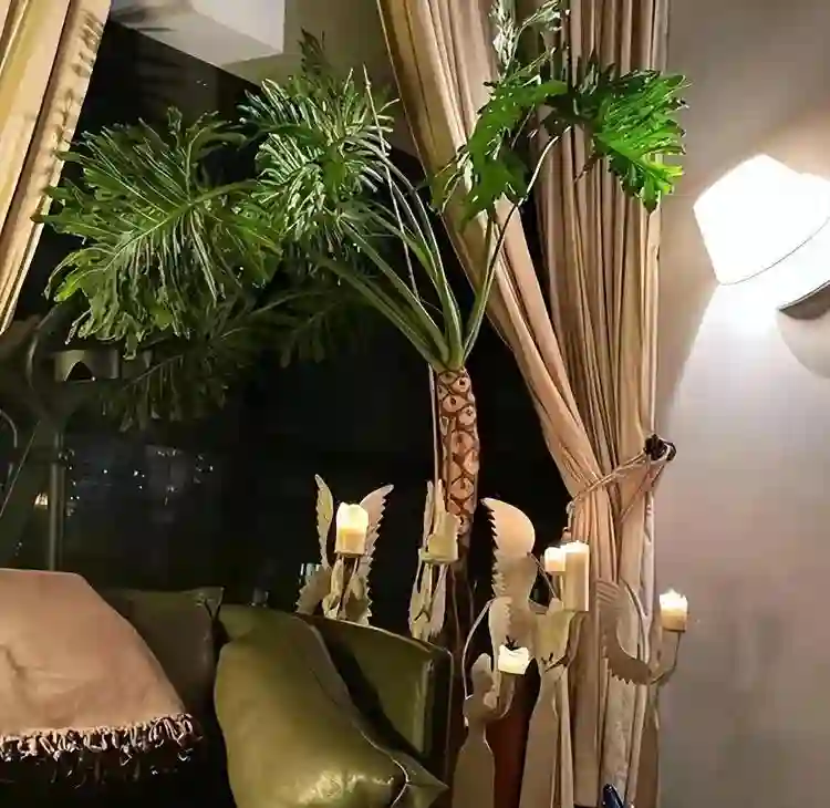 直到看完殷桃的家，终于明白她45岁却不着急结婚生子的原因了