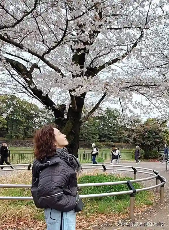 53岁黎姿赏樱，同行美女如云，医美与自然老去差距显著