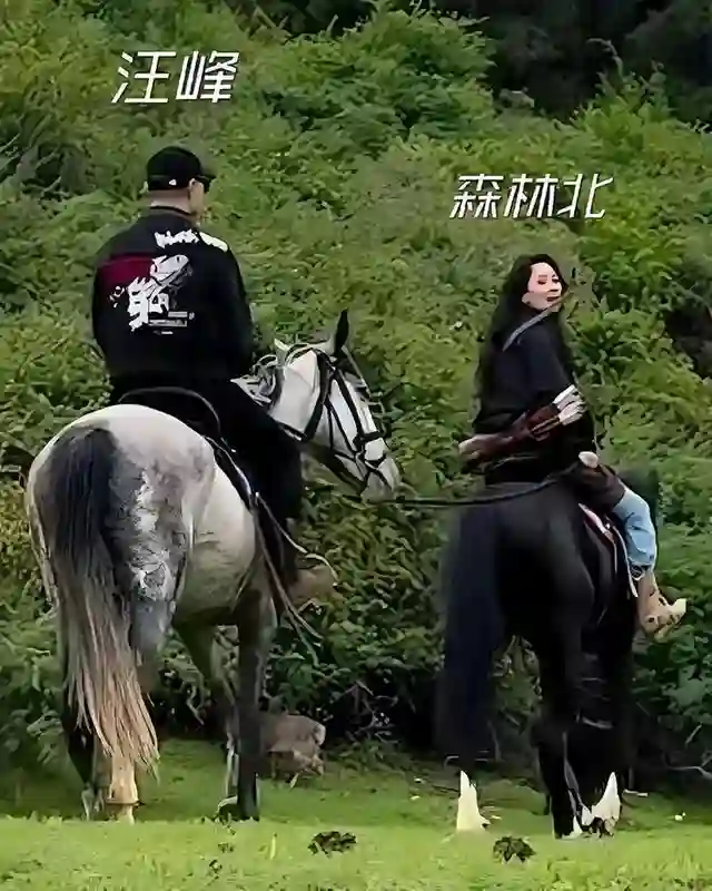 汪峰女友森林北直播带货首播，在线人数15万，回应又老又年轻