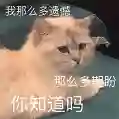 10年前的黑莓手机杀回来了 只要2100元