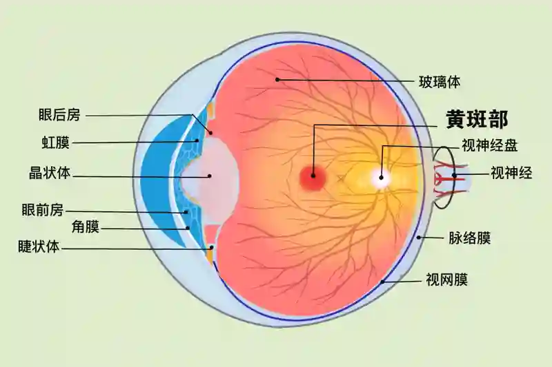 新能源车的激光雷达，竟然会扫坏你的镜头