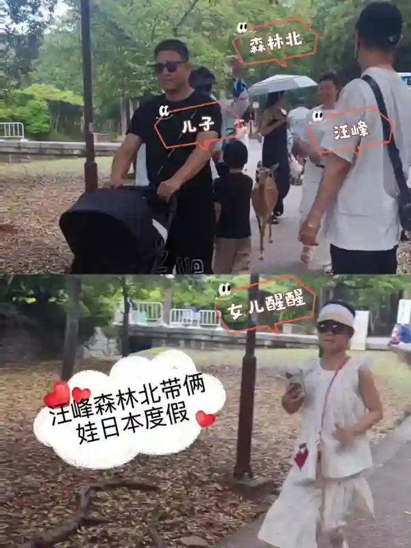 明星带娃过暑假，孙俪一家上山下海，董璇女儿跳舞惊艳，钟丽缇女儿似明星