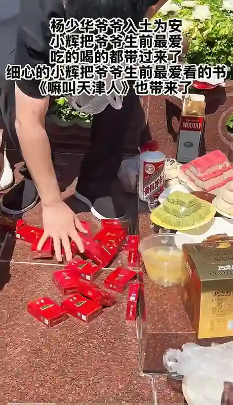 杨议辟谣父亲“累死”，称去世是解脱，曲协发公函，花篮钱几十万