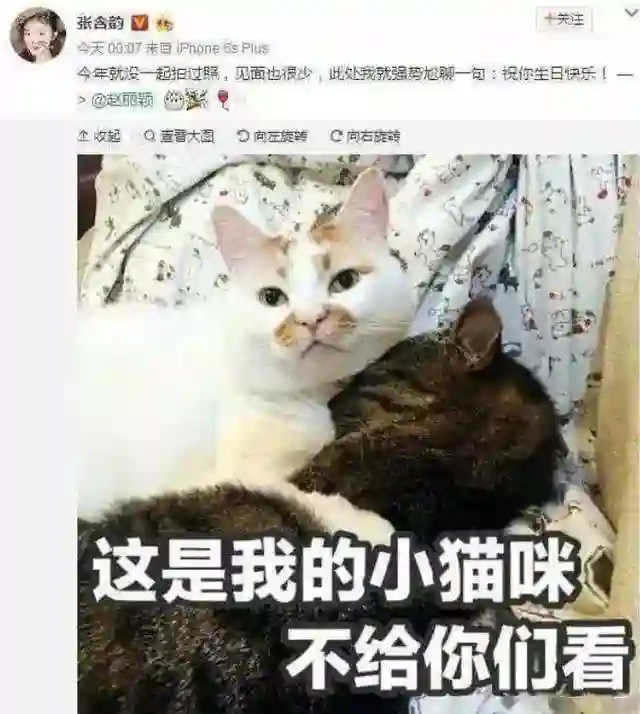 赵丽颖飙脏话后形象崩塌，央视发文批评，还被网友扒出双标言论