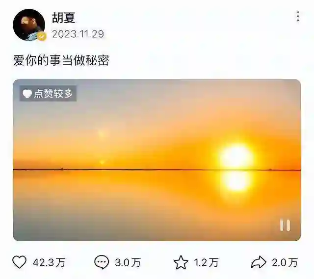 情史混乱、整容上瘾，这一次，谁都救不了鼻歪嘴斜的资源咖金晨！