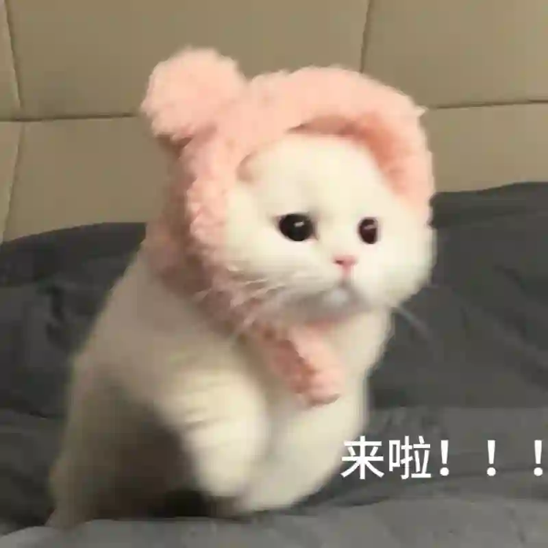 黄圣依熹妃回宫！拿了大笔财产后，新脸回春成章泽天+刘亦菲结合体？