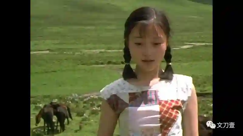 「国民媳妇」李小璐：从影后到“做头发女王”，不是我的菜，收不住我的心！