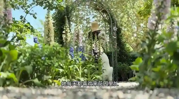 44岁霍思燕晒京郊花园，每天亲自打理，抱七万宠物狗逛花园好贵气