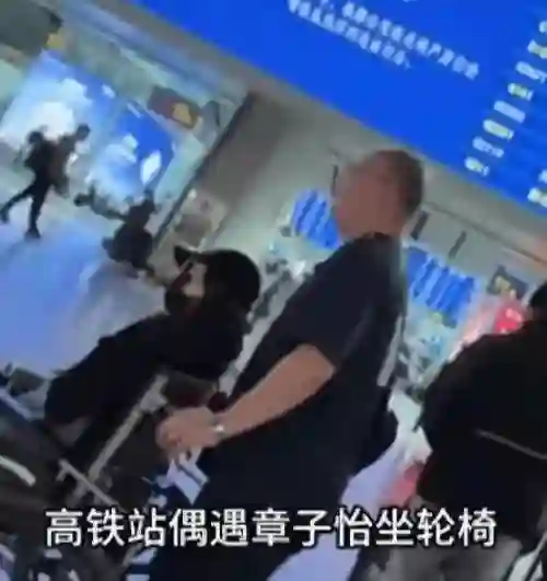 章子怡腿伤接娃放学，汪峰带三子看话剧，离婚后各自生活愉快