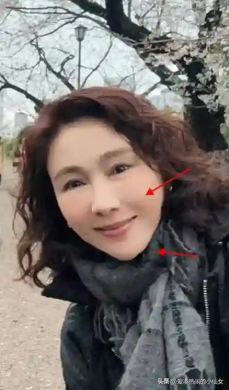 53岁黎姿赏樱，同行美女如云，医美与自然老去差距显著