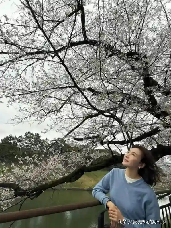 53岁黎姿赏樱，同行美女如云，医美与自然老去差距显著