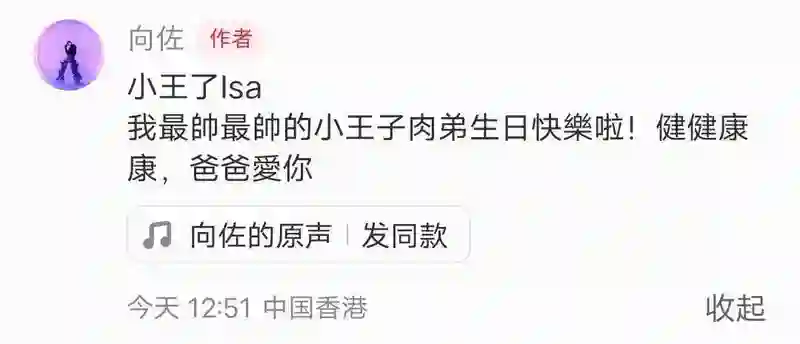 郭碧婷给儿子过三岁生日，小向笙留长发像向佐，生日待遇不如姐姐