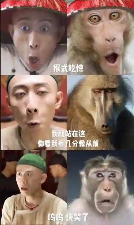 短暂地红了一下！高开低走的3位明星，曾经是顶流现“查无此人”