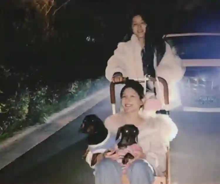 曾黎风波越闹越大，被网友抵制喊话退圈，赵露思受牵连