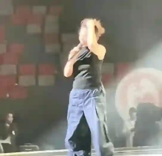 林忆莲容貌大变，身材走样，昔日形象全然不同！