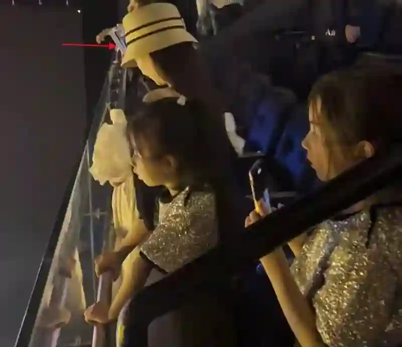 方媛带娃看郭富城演唱会，孕味十足圆润一圈，俩女儿侧脸像爸爸