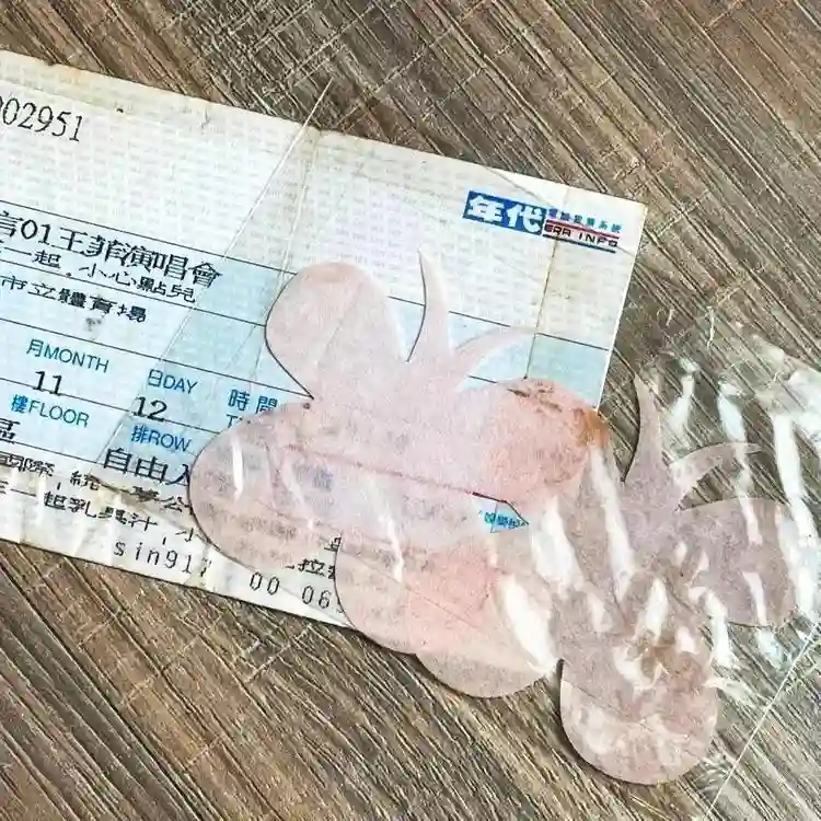王菲窦唯北京往事：青春时爱上的人，要用多少个十年才能释怀？