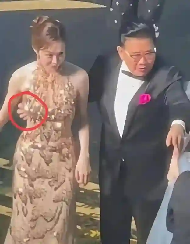 咸猪手、占C位：一张合照戳破白玉兰这晚的温情，难怪刘亦菲缺席