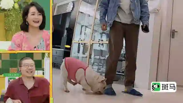 她不是实力很强么？怎么弹幕都在骂…