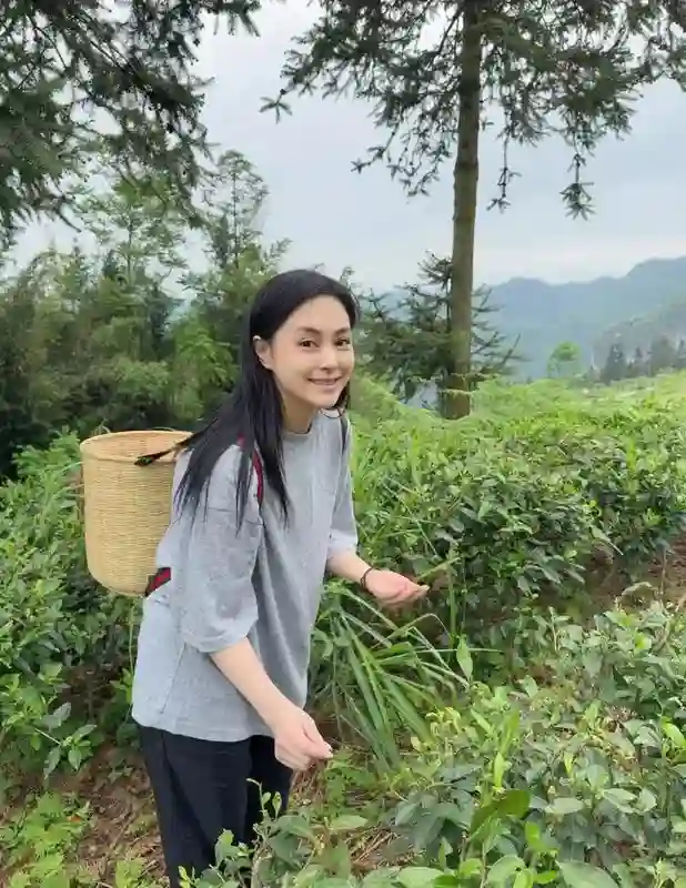 44岁阿娇五一假期带爱狗旅行，背着竹篓去采茶，素颜清纯皮肤白嫩