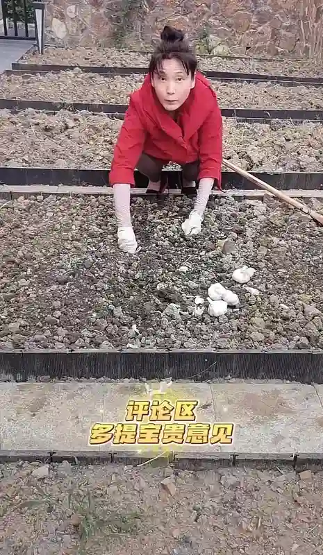 何赛飞杭州豪宅后院忙种蒜！63岁穿洞洞鞋干农活，毫无明星架子