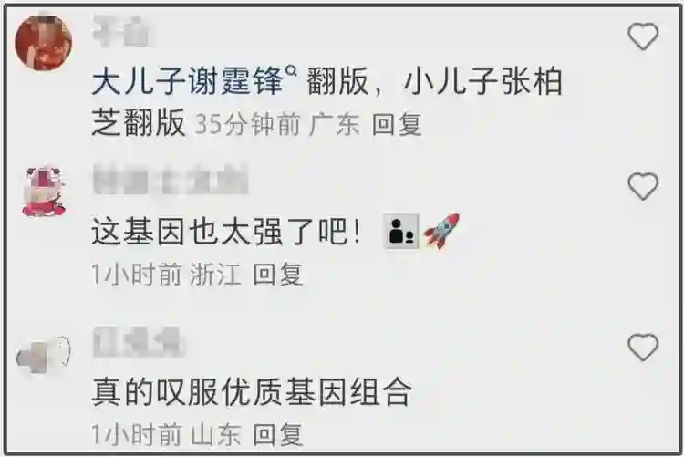 张柏芝儿子高清照曝光，一个像爸一个像妈，网友感叹基因太强大