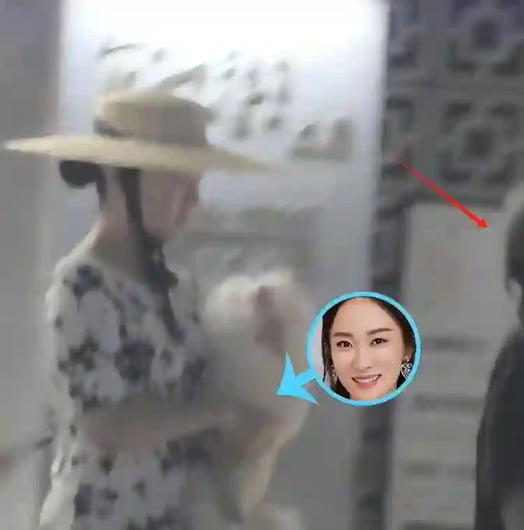 霍思燕李小璐带娃聚餐，甘薇离婚后笑容满面，三人全开百万豪车