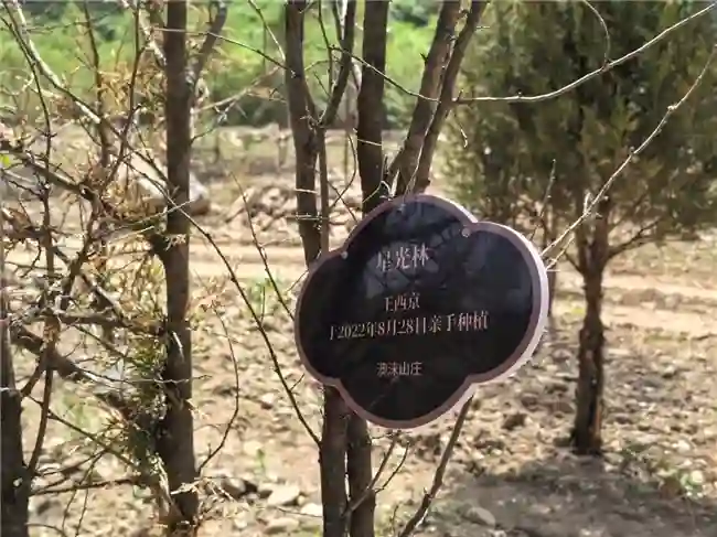 张凯丽履新首秀！率队共植星光林彰显生态担当