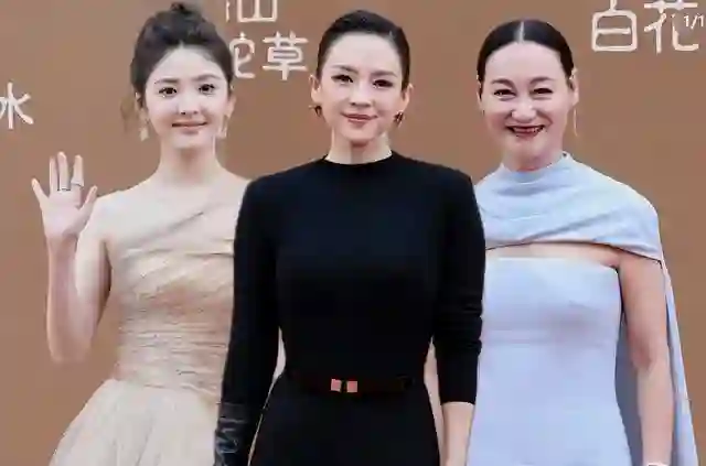 华表奖这一夜，脸肿、造型拉胯，惠英红给内娱上了“生动一课”