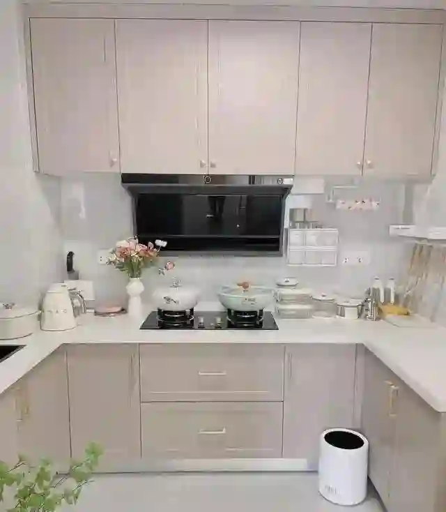 直到看完秦岚的家，才发现46岁未婚未育的她，早就活成了人生赢家
