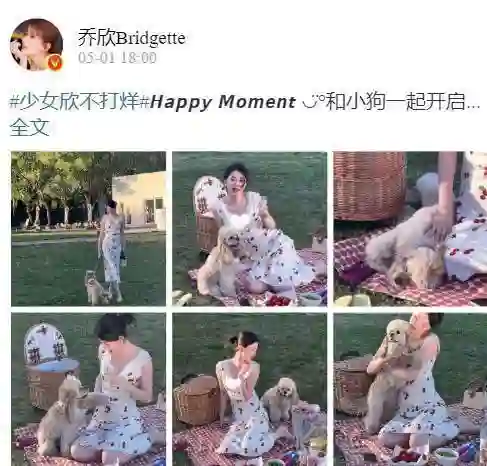 乔欣穿深V樱桃连衣裙野餐！小腹微隆疑有孕，晒富太日常惹人羡慕