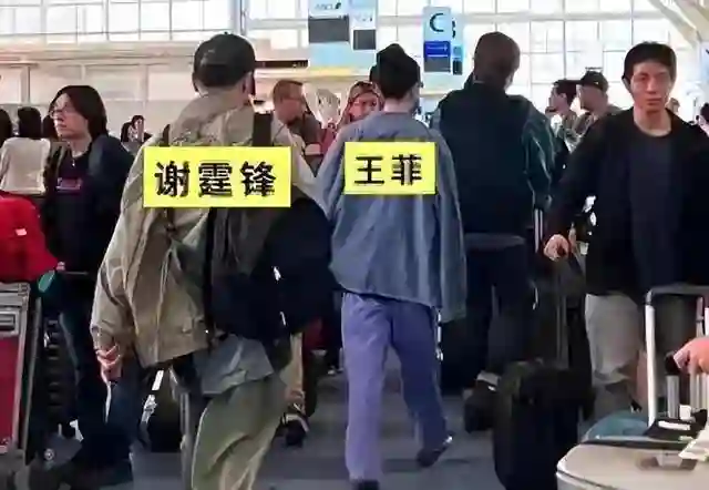 谢霆锋陪王菲恩爱度假，前妻张柏芝的“反击”，是谢霆锋没想到的