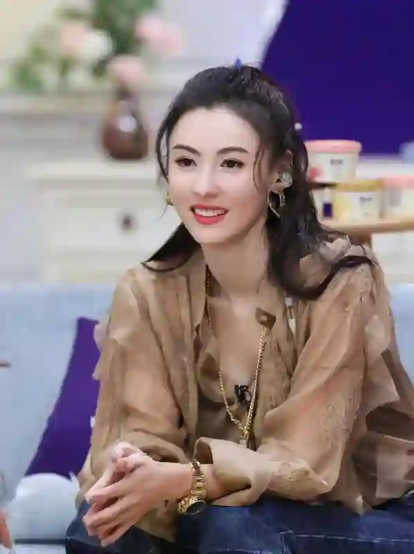 内娱第一悬案告破？张柏芝三胎生父，就是谢霆锋？