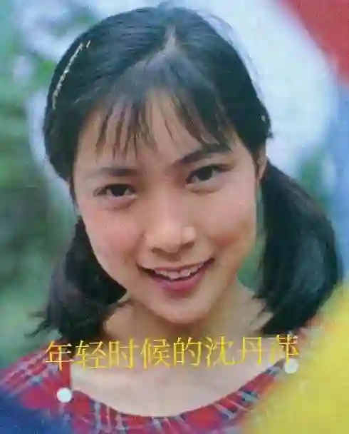 演员沈丹萍竟然胖成这样了？肚子上都是游泳圈，但颜值太抗衰了