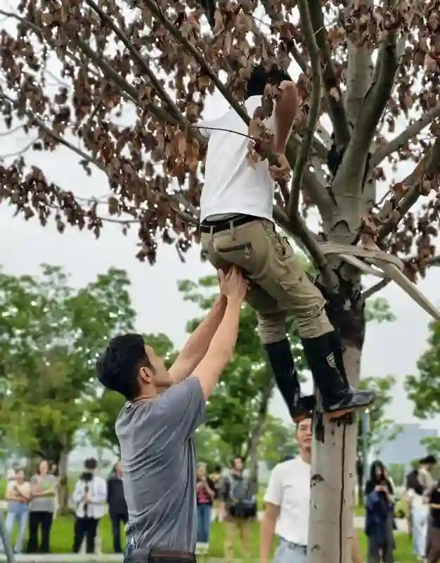 尼格买提发文“树上骑个猴”，撒贝宁这表情绝了，调皮孩子上线！