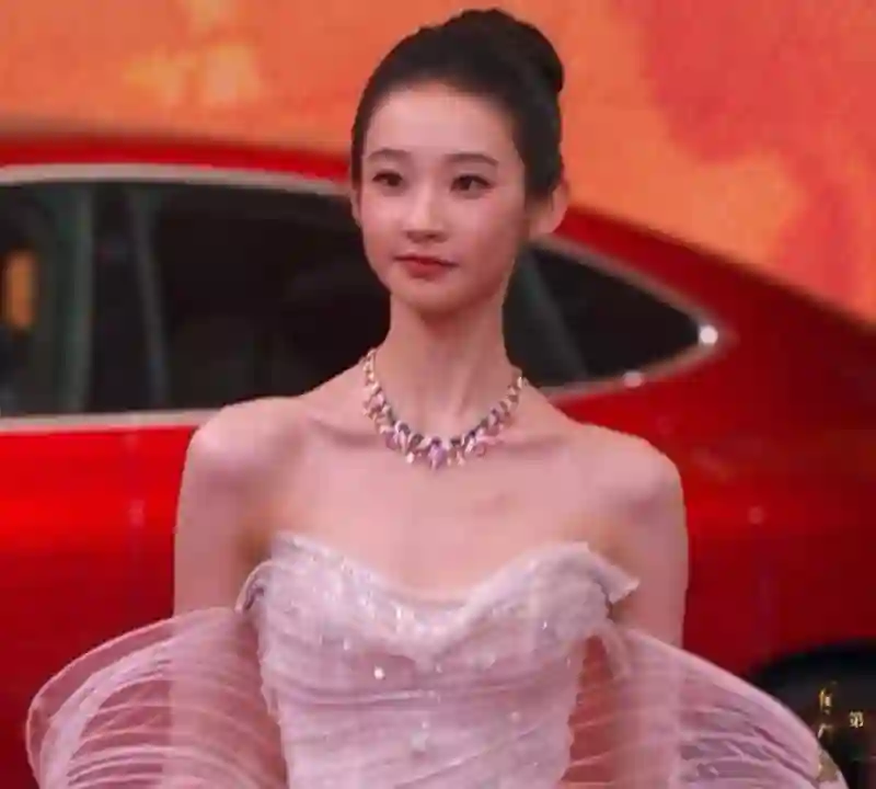 上影节闭幕式之夜，小花颜值飙升，中年明星“撑场面”！