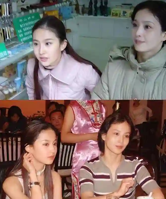 刘亦菲母亲刘晓莉：长得比女儿还漂亮，两婚两离，66岁单身也幸福