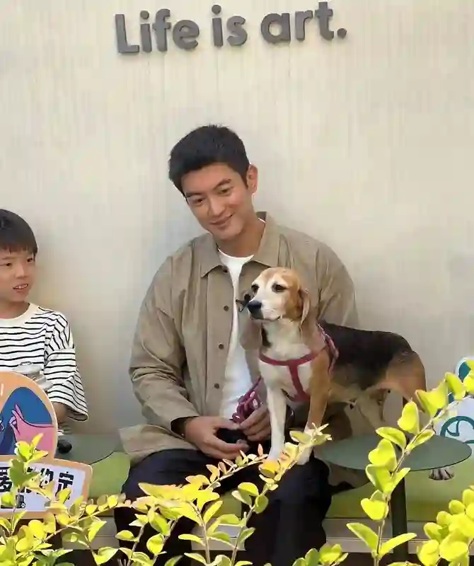 44岁霍思燕亮相青岛宠物展,戴帽亮相,颜值回春,身材匀称富态十足