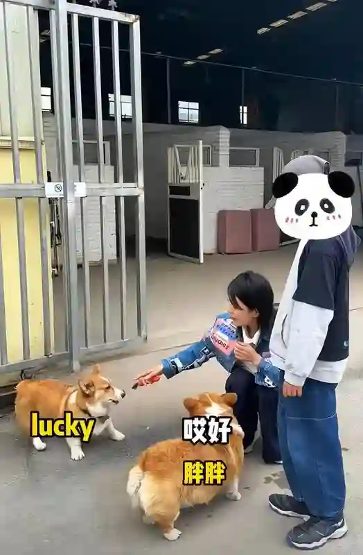 汪涵约周笔畅咖啡店叙旧，眼袋好大长了老年斑，两人坐街边像父女