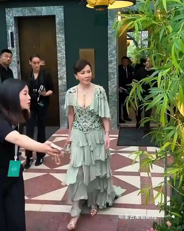 这一夜，胸下垂还穿深V的刘嘉玲，在“长裙裹身”的汤唯面前尴尬