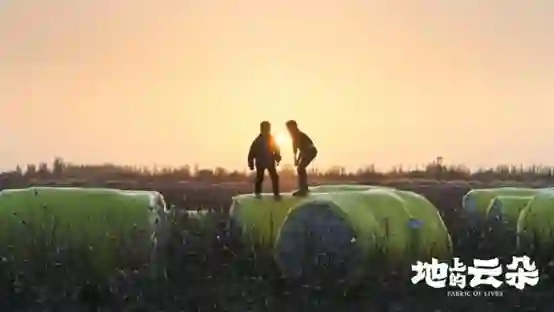 从“棉田”到“烟火人间”：一场土地和生命的共生叙事，影展佳片《地上的云朵》定档5月7日