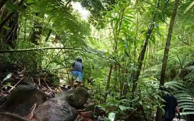 孙俪分享爬山日常：一家四口同框 等等身高已赶超妈妈