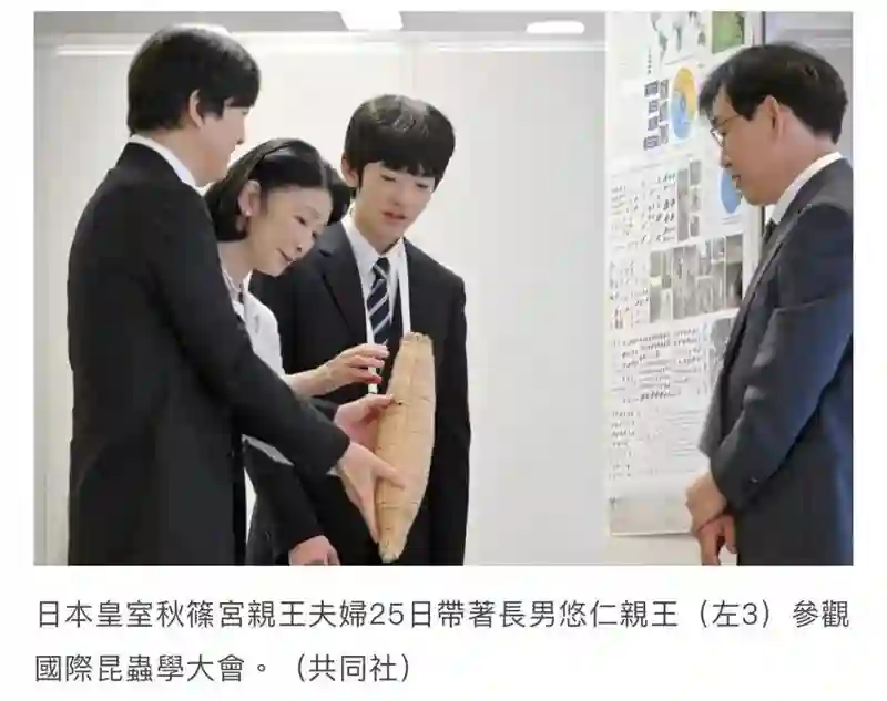 就你这智商，离开亲妈还能活？