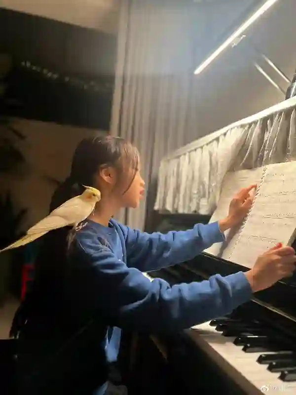 还记得姚晨的女儿小茉莉吗，腿也太长了吧