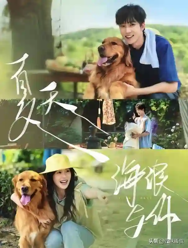 好好好，这次靠一个小丫头看完了全集