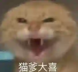 太爽了，去年买不起的24+1TB顶配，现在价格彻底崩了
